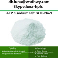 China Supply CAS: 987-65-5 ATP-Na2 /ATP Disodium Salt Adenosine